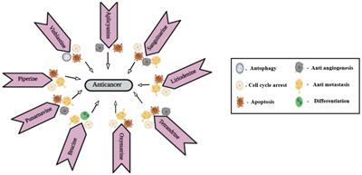 A spotlight on alkaloid nanoformulations for the treatment of lung cancer